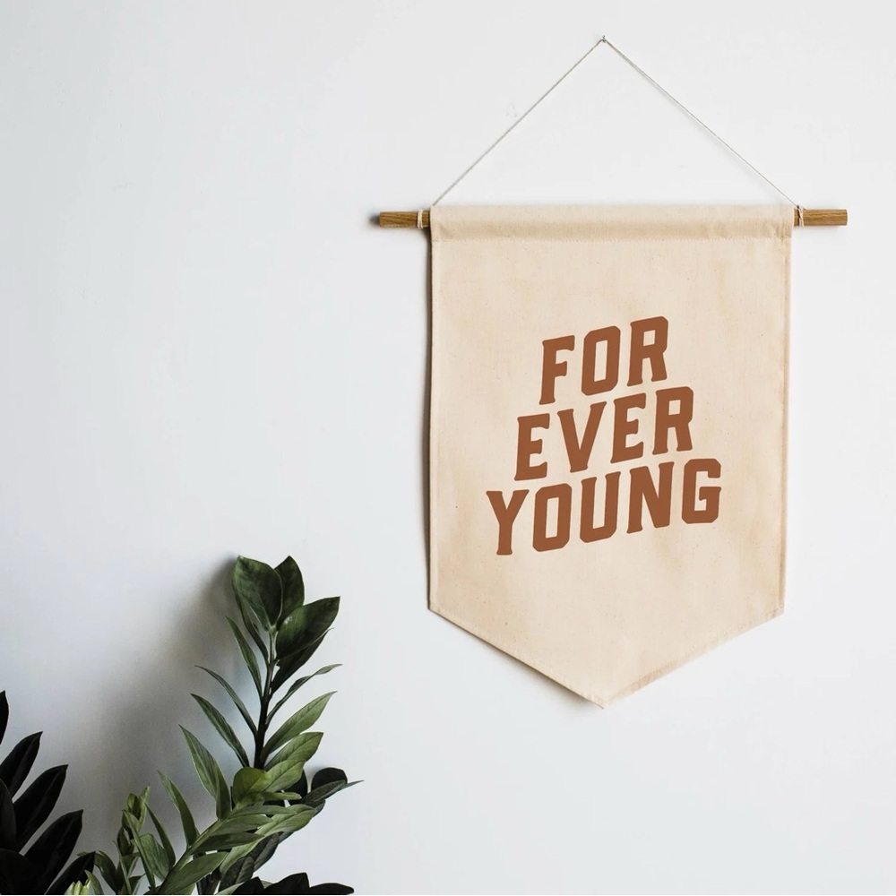 NWT Gladfolk “Forever Young” canvas pennant banner